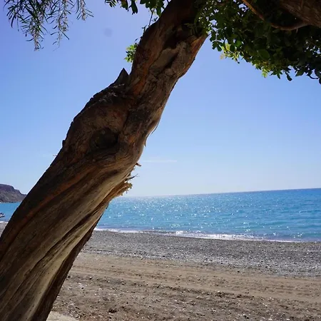 Hanna Mit Meerblick * Pissouri
